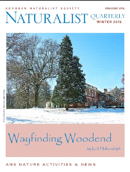 WinterNQ2016
