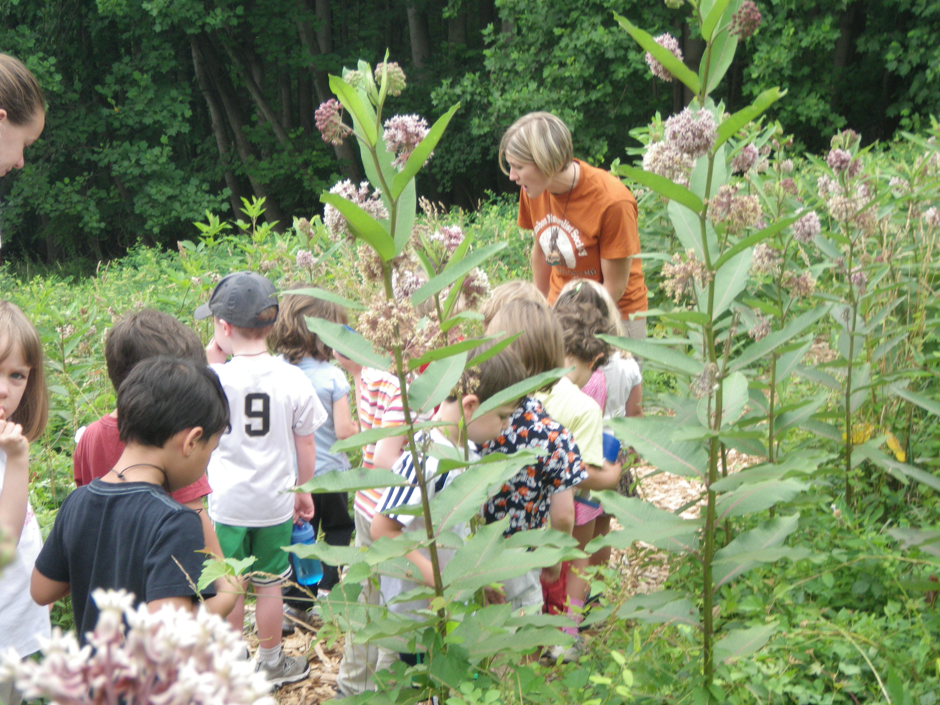 Photo of children participating in an outdoor activity in a meadow at Woodend Nature Sanctuary.