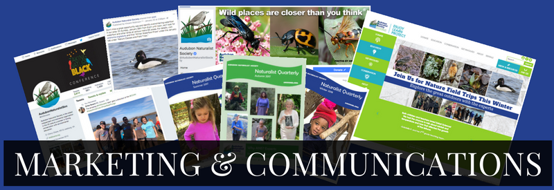 Audubon Naturalist Society Five-Year Strategic Plan - Marketing and Communictions