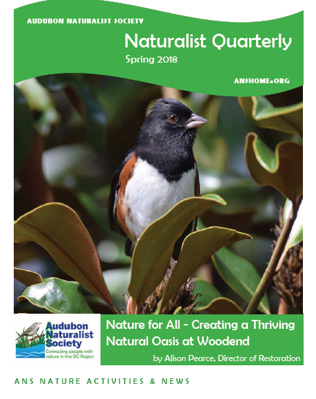 ANS Naturalist Quarterly - Spring 2018