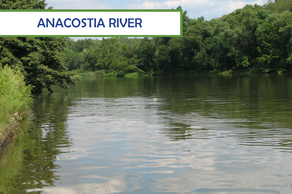 Anacostia River