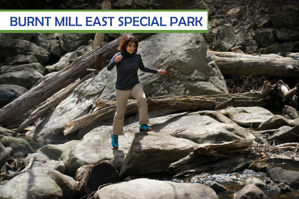 Burnt Mills East Special Park