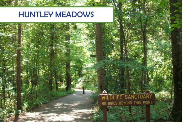Huntley Meadows