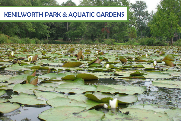 Kenilworth Park
