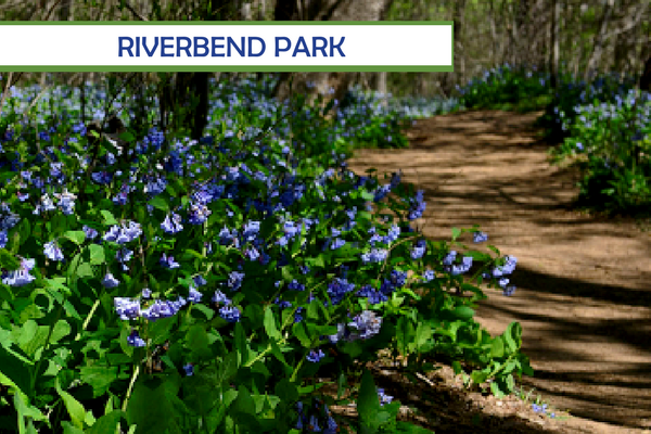 Riverbend Park