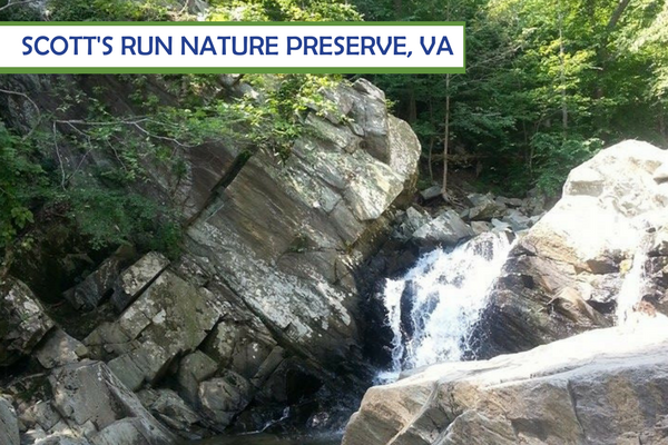 Scott's Run Nature Preserve