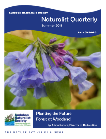 ANS Naturalist Quarterly - Spring 2018