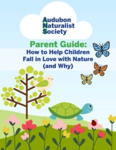 How to Help Children Fall in Love with Nature - Free eGuide by Audubon Naturalist Society