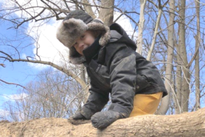 Nature-based preschool programs for children aged 5 and younger outside Washington, DC in Chevy Chase, MD