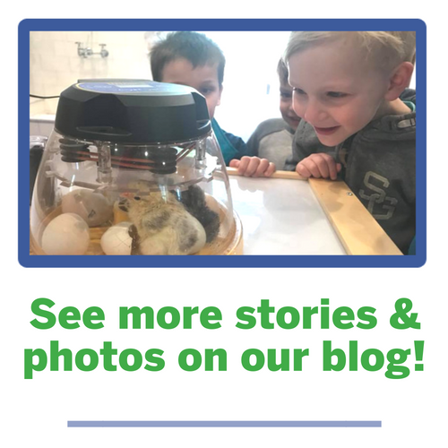 Audubon Nature Preschool is a nature-based preschool with education and environmental programs for children aged 5 and younger outside Washington, DC in Chevy Chase, MD.
