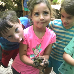 Nature-based summer camps providing environmental science education for Pre-K, elementary, middle school and high school students just outside Washington, DC in Chevy Chase, MD