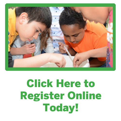 Nature-based summer camps providing environmental science education for Pre-K, elementary, middle school and high school students just outside Washington, DC in Chevy Chase, MD