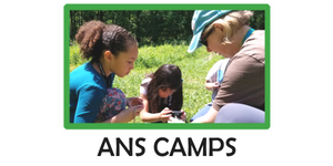 ANS Camps