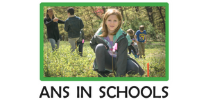 ANS in Schools