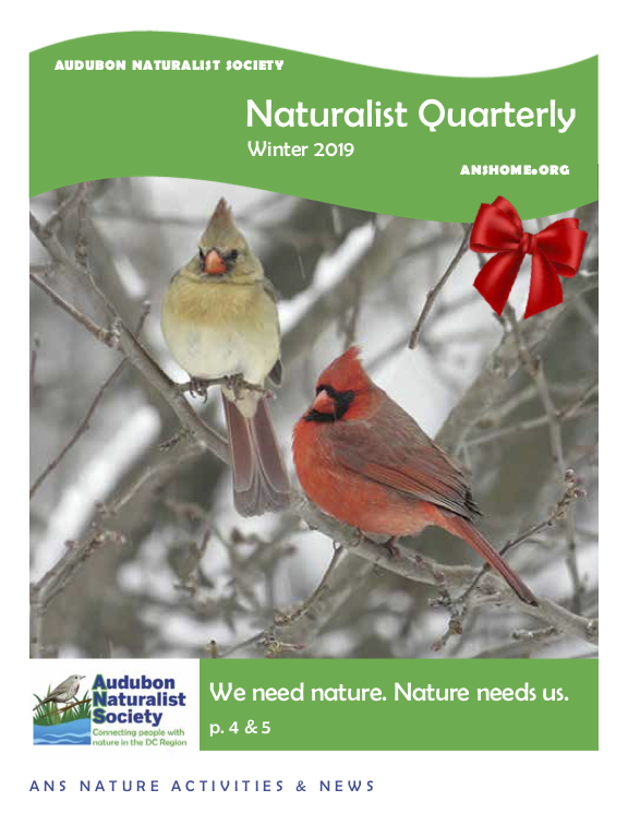 ANS Naturalist Quarterly - Winter 2018