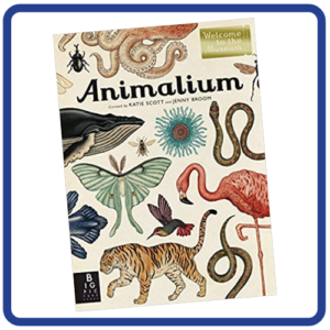 Animalium - Welcome to the Museum