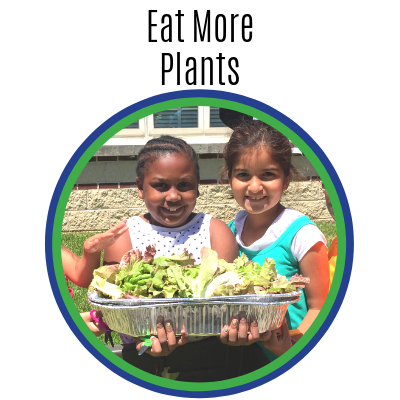 Eat More Plants
