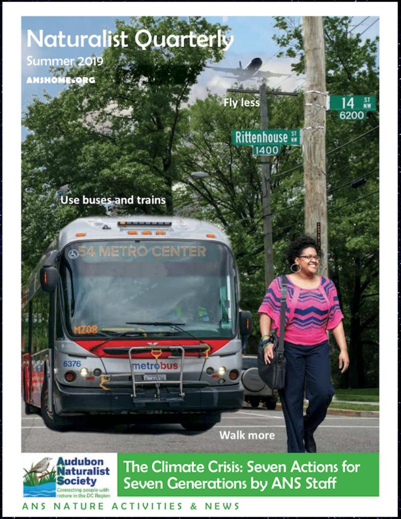 ANS Naturalist Quarterly - Summer 2019