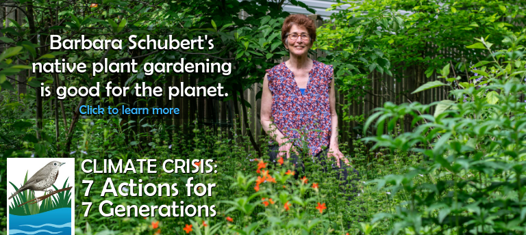 The Climate Crisis/Climate Change: 7 Actions for 7 Generations