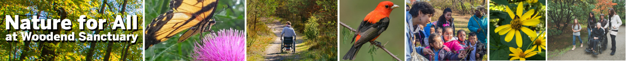 Nature for All at Woodend Sanctuary