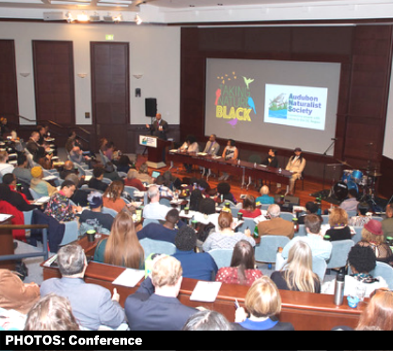 TNB Conference