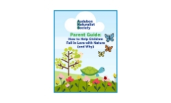 Download your free ANS Parent Guide here