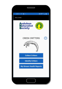 Creek Critters App