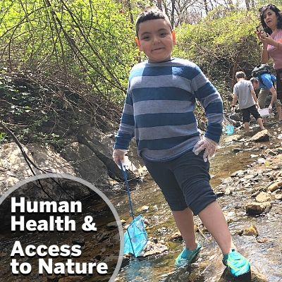 Human Health & Access to Nature: All people live in nature.  A healthy natural environment is one that includes healthy people who have clean air to breathe, clean water to drink, and safe places to be active and explore nature. Some communities in our region have been deprived of access to wealth, land, and healthy environments because of systemic racial, ethnic, and economic injustice. Therefore, ANS supports local environmental justice advocates, campaigns, and policies that intersect with our conservation priorities.