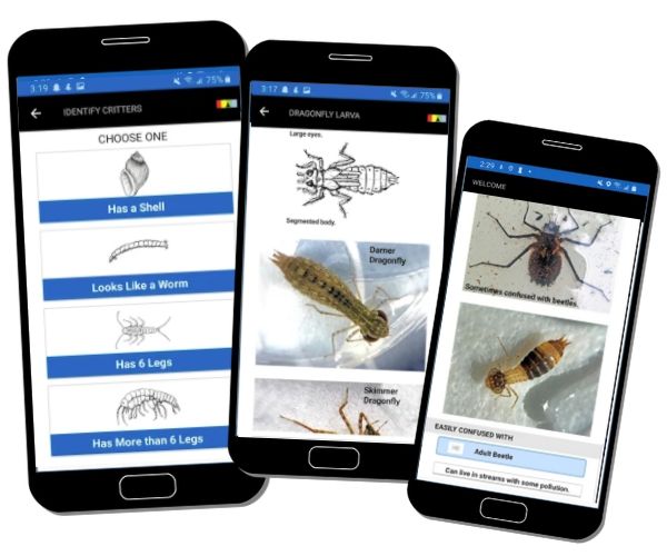 Visual keys lead you through identifying 30 commonly found critters. Identification screens include line drawings, photos and more!​
