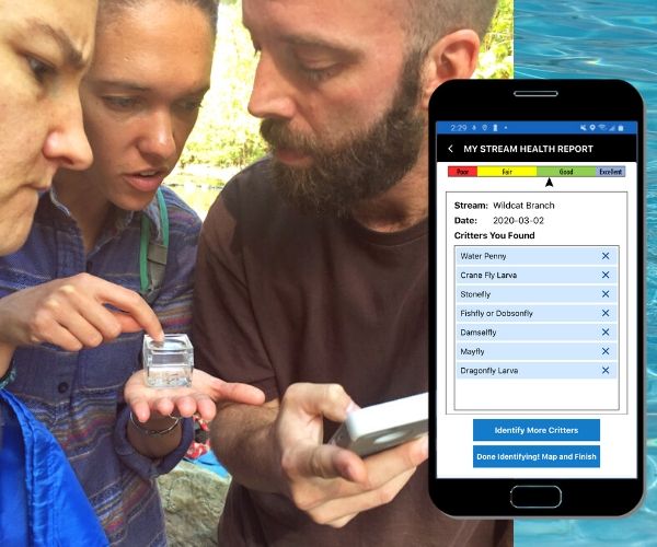 Aquatic macroinvertebrates serve as indicators of stream health because they exhibit varying levels of sensitivity to pollution. As you identify critters, you’ll be building a stream health report. 