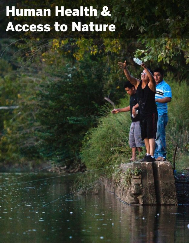 All people live in nature. A healthy natural environment is one that includes healthy people who have clean air to breathe, clean water to drink, and safe places to be active and explore nature. We recognize that communities of color have been deprived of wealth, health, educational attainment, and healthier environments because of systemic racism and ethnic prejudices. We recognize that people with disabilities have been deprived of many of the same opportunities and equitable access because of systemic prejudices and injustices. Therefore, ANS supports local environmental justice advocates, campaigns, and policies that intersect with our conservation priorities.   