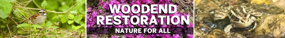Woodend Restoration - Nature For All