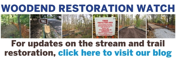 Woodend Restoration Blog