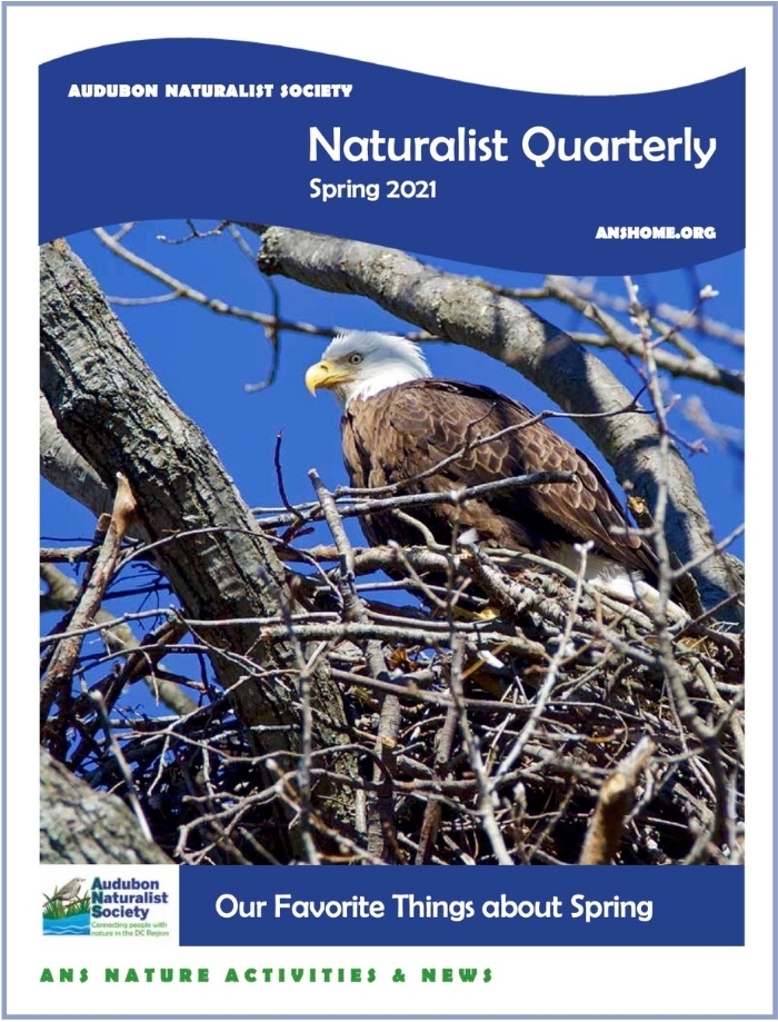 ANS Naturalist Quarterly - Winter 2021