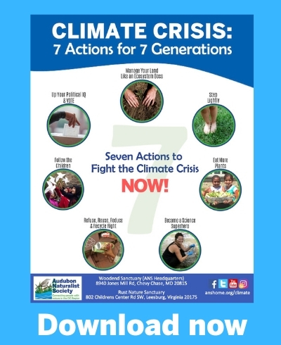 Climate Change: 7 Actions for 7 Generations