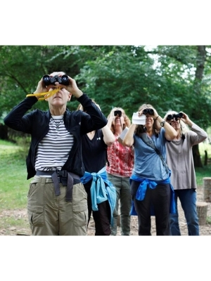 Beginner Bird Walks