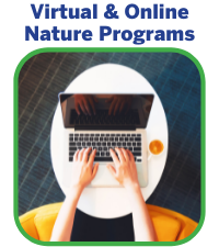 Virtual and Online Nature Programs
