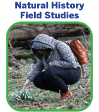 Natural History Field Studies