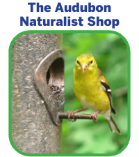The Audubon Naturalist Shop
