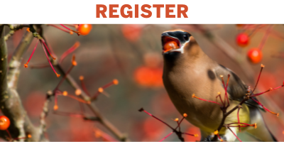 NHFS Online Registration