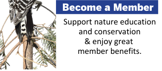 Become a Member
