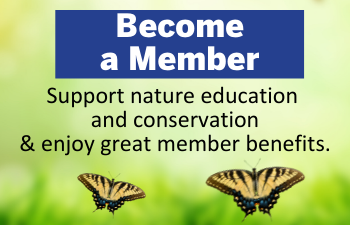 Become an ANS Member