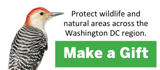 Make a Gift