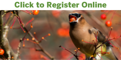 NHFS Online Registration