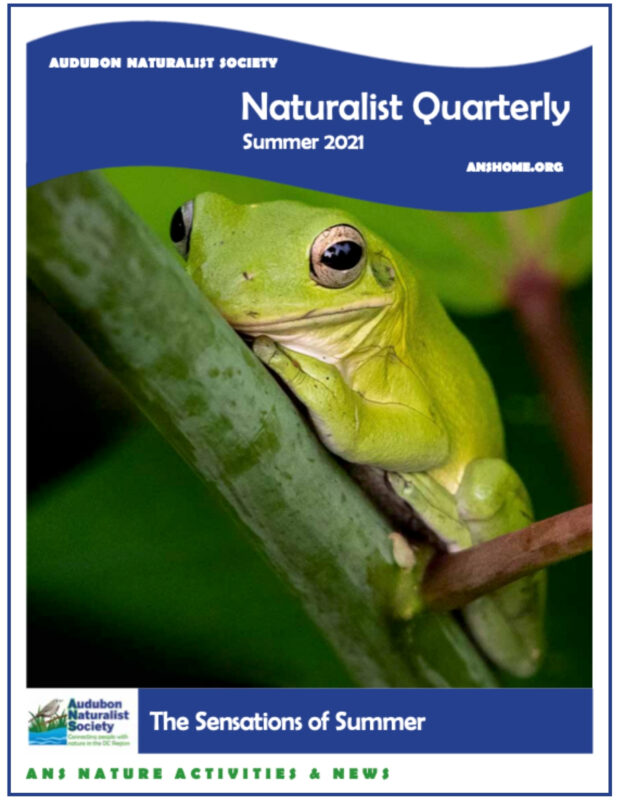 ANS Naturalist Quarterly - Summer 2021