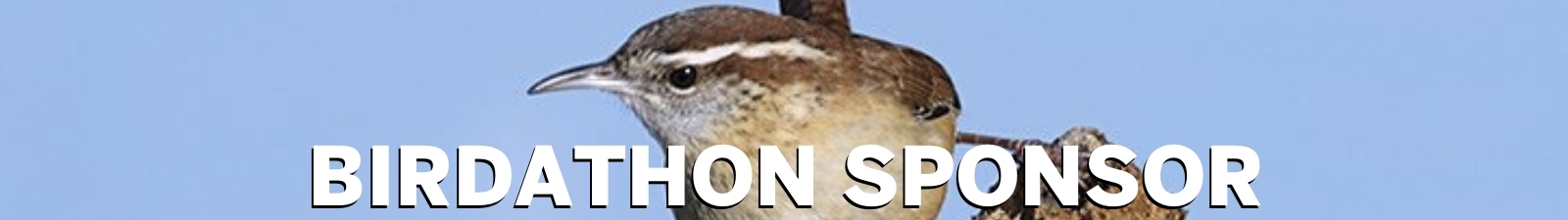Birdathon Sponsor