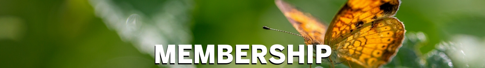 Membership/Renew