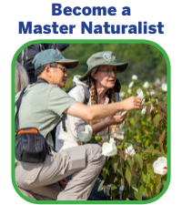 Become a Master Naturalist