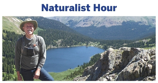 Naturalist Hour