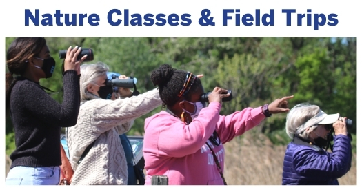 Adult Nature Classes & Field Trips